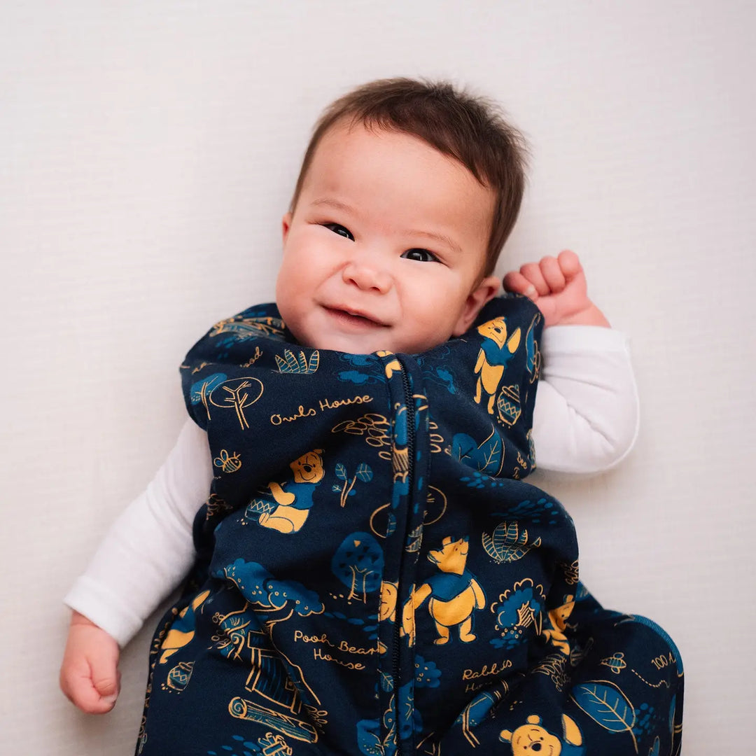 Winnie The Pooh Sleep Sack