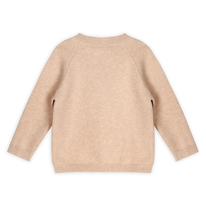 Little Lion Baby Sweater & Pants Set