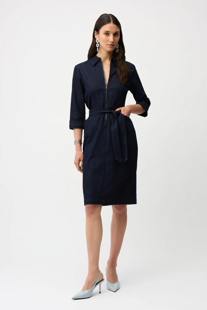 Denim Belted Dress