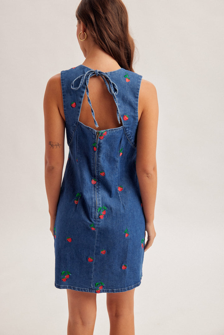 Strawberry Patch Denim Dress