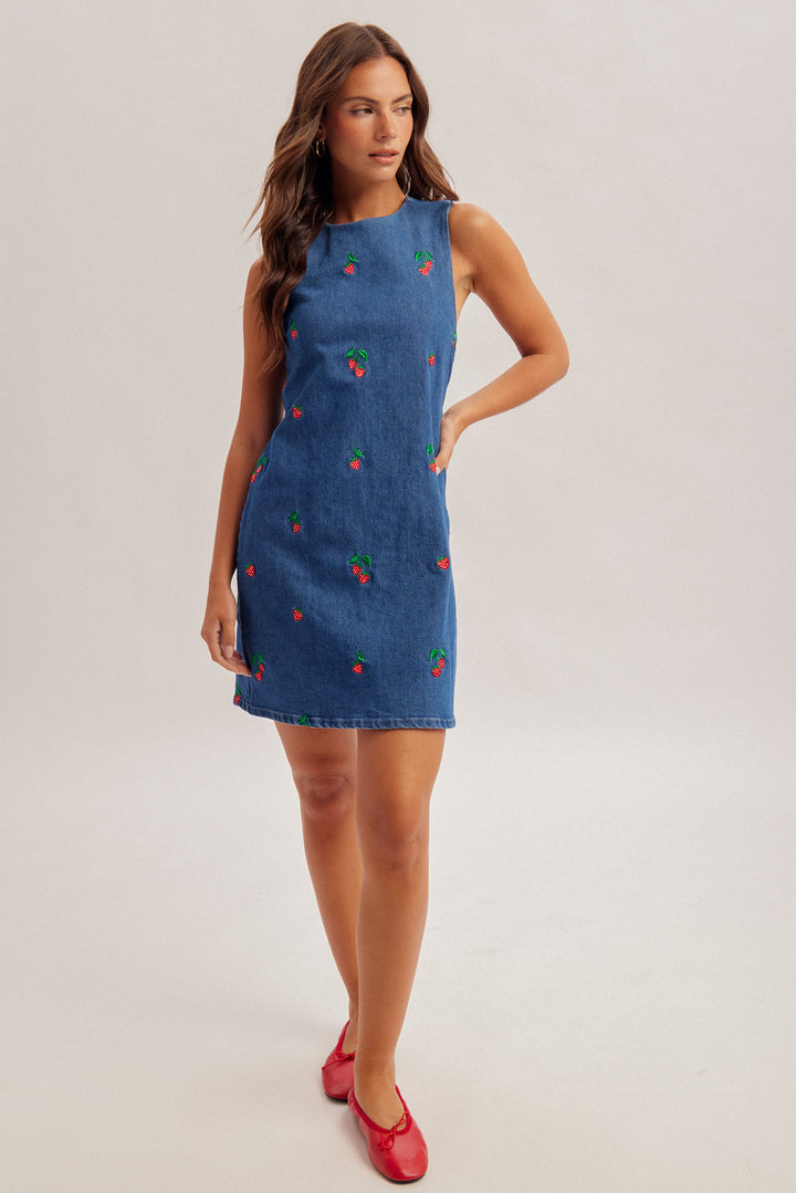 Strawberry Patch Denim Dress