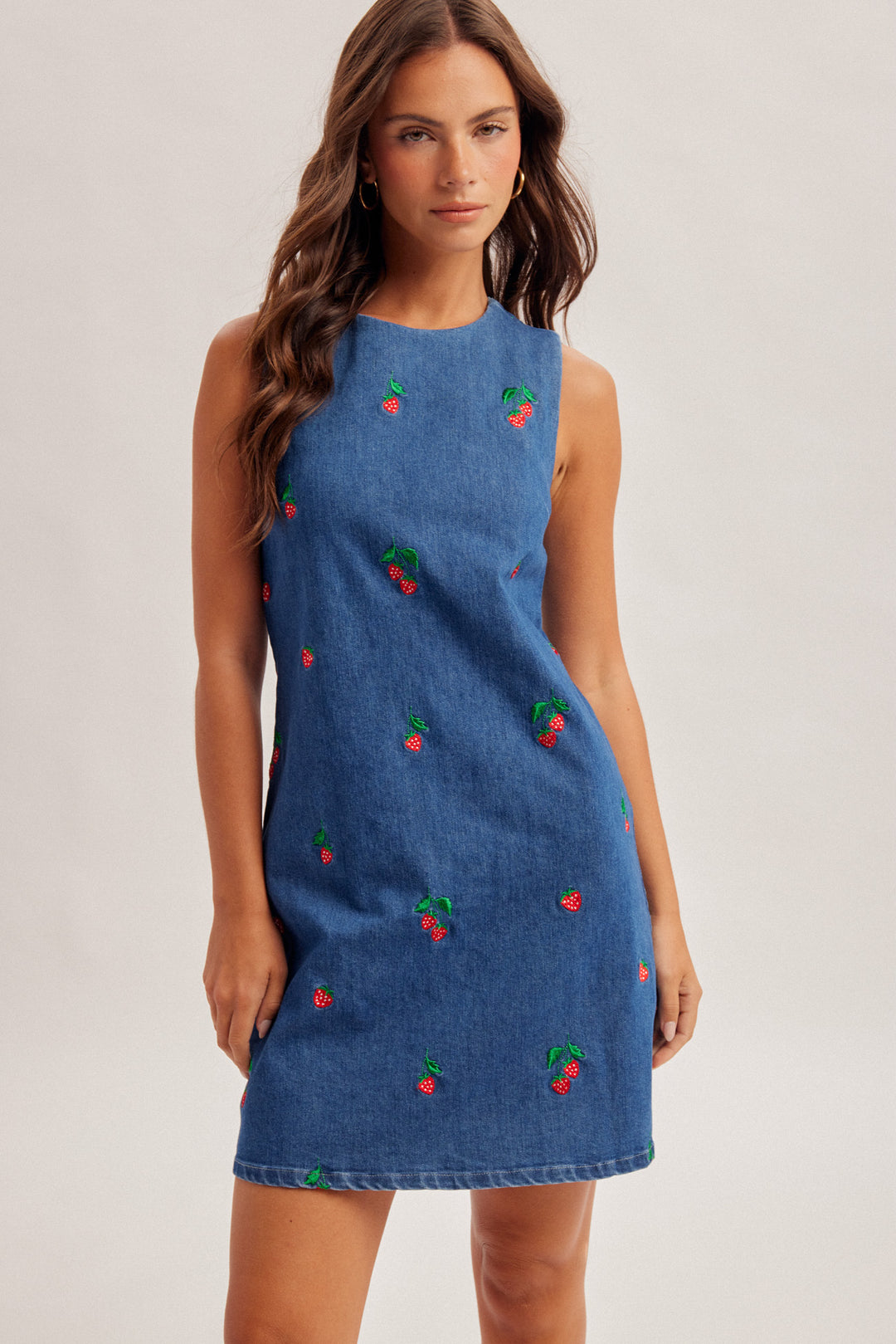 Strawberry Patch Denim Dress