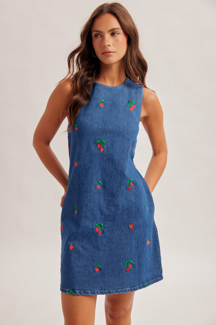 Strawberry Patch Denim Dress
