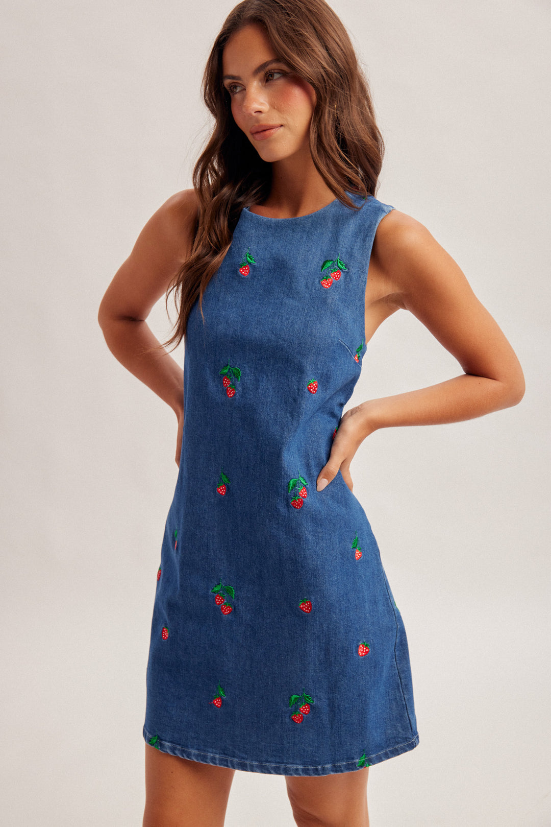 Strawberry Patch Denim Dress