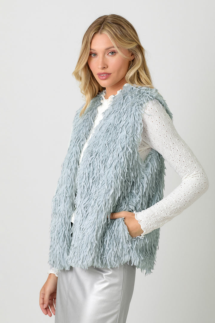 Almost Famous Fur Vest