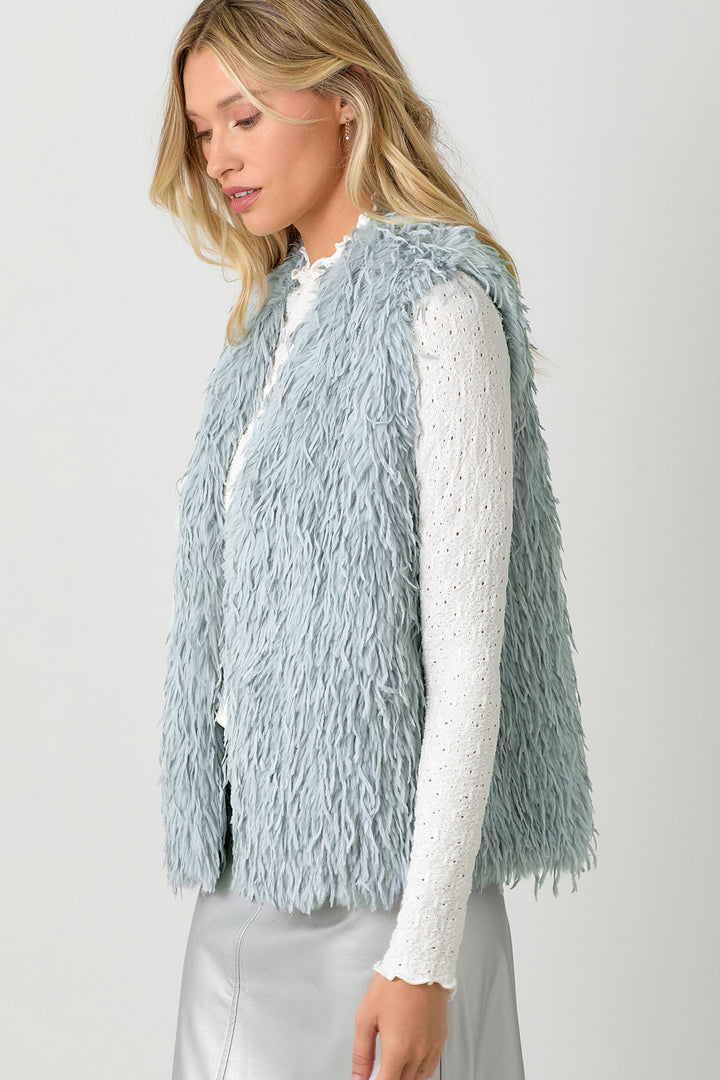 Almost Famous Fur Vest