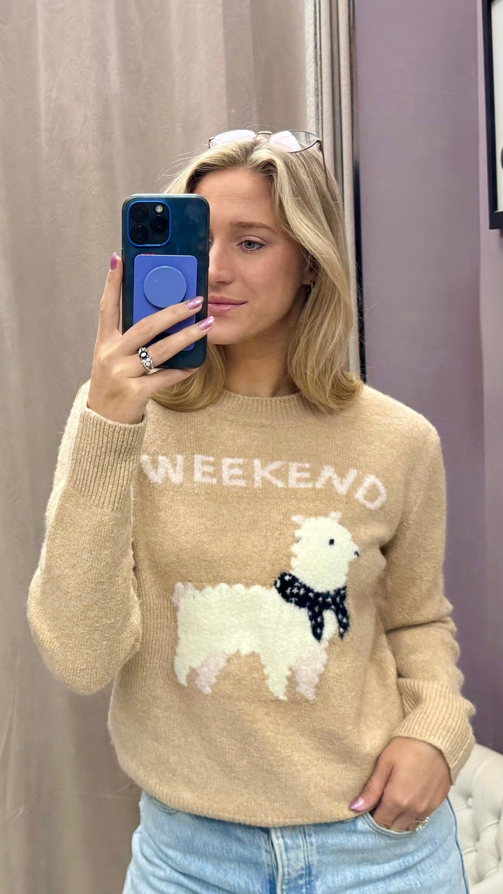 Alpaca Kind of Weekend Sweater