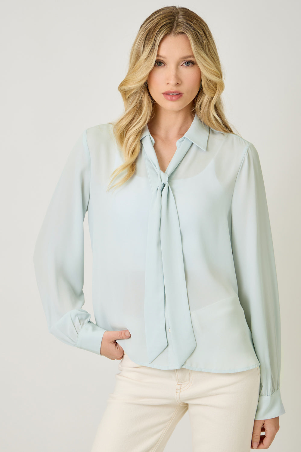 Silk & Cinch Tie Neck Blouse