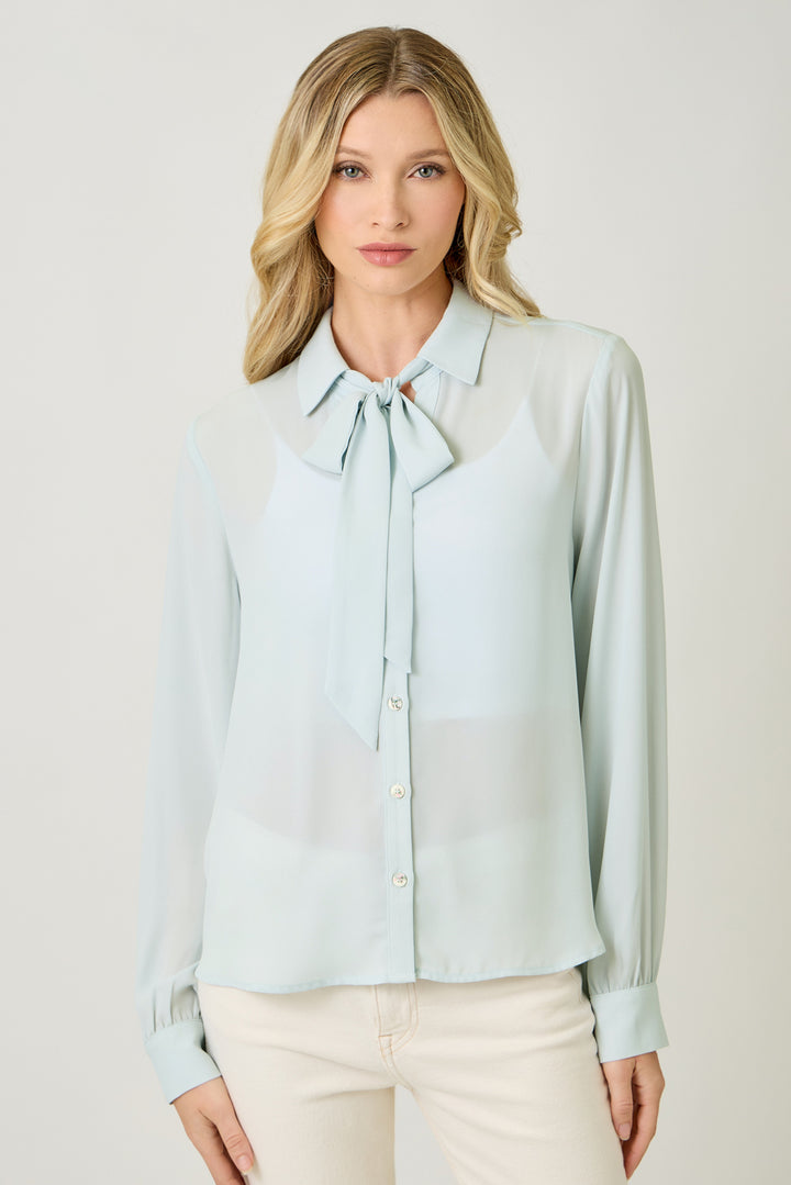 Silk & Cinch Tie Neck Blouse