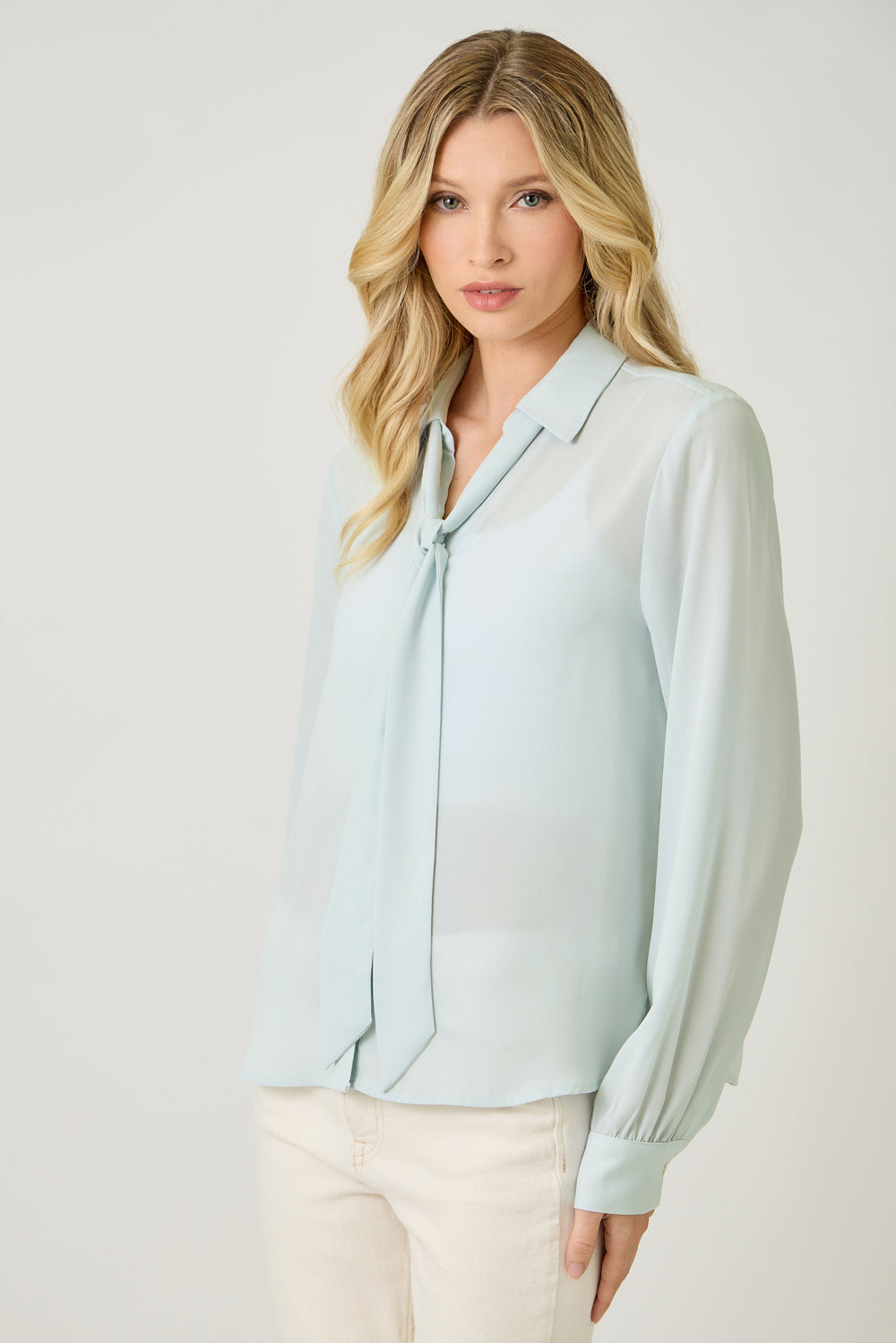 Silk & Cinch Tie Neck Blouse