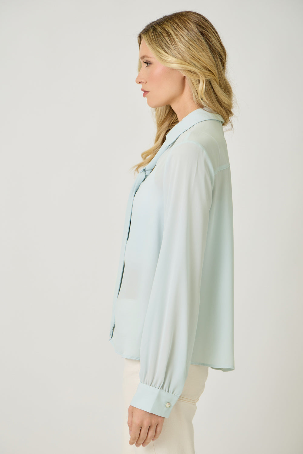 Silk & Cinch Tie Neck Blouse