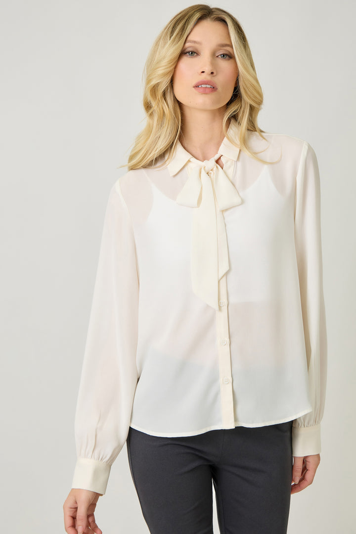 Silk & Cinch Tie Neck Blouse