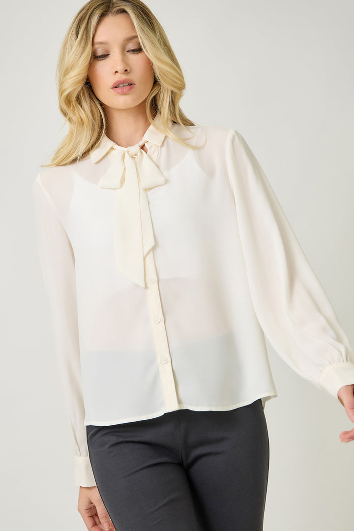 Silk & Cinch Tie Neck Blouse