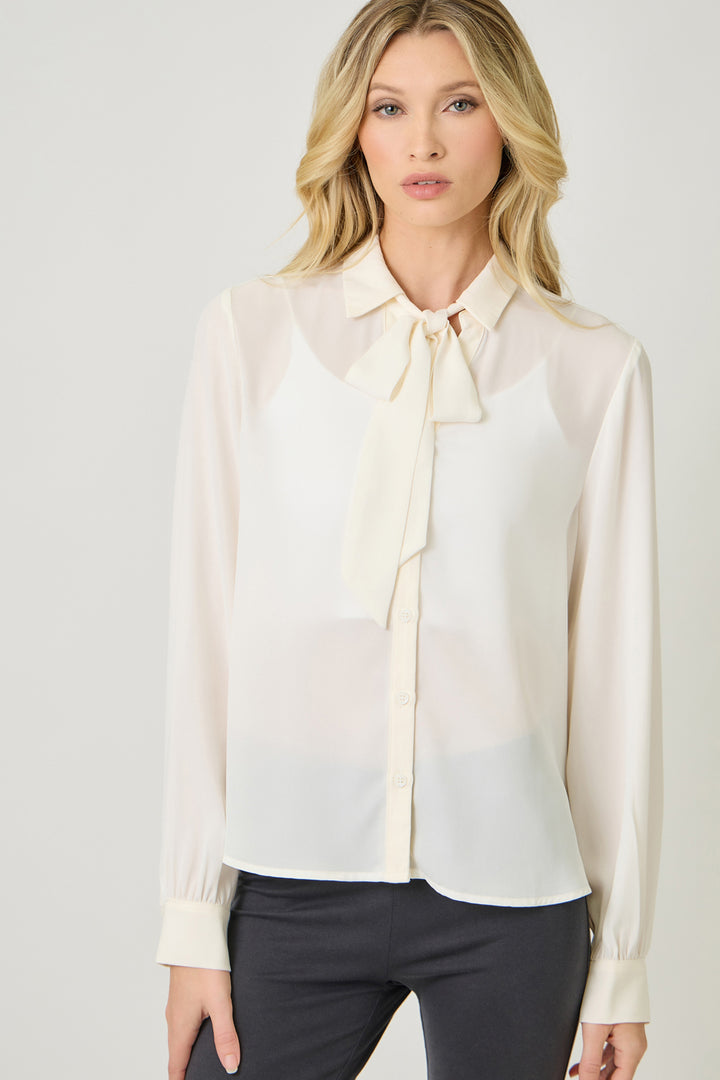 Silk & Cinch Tie Neck Blouse