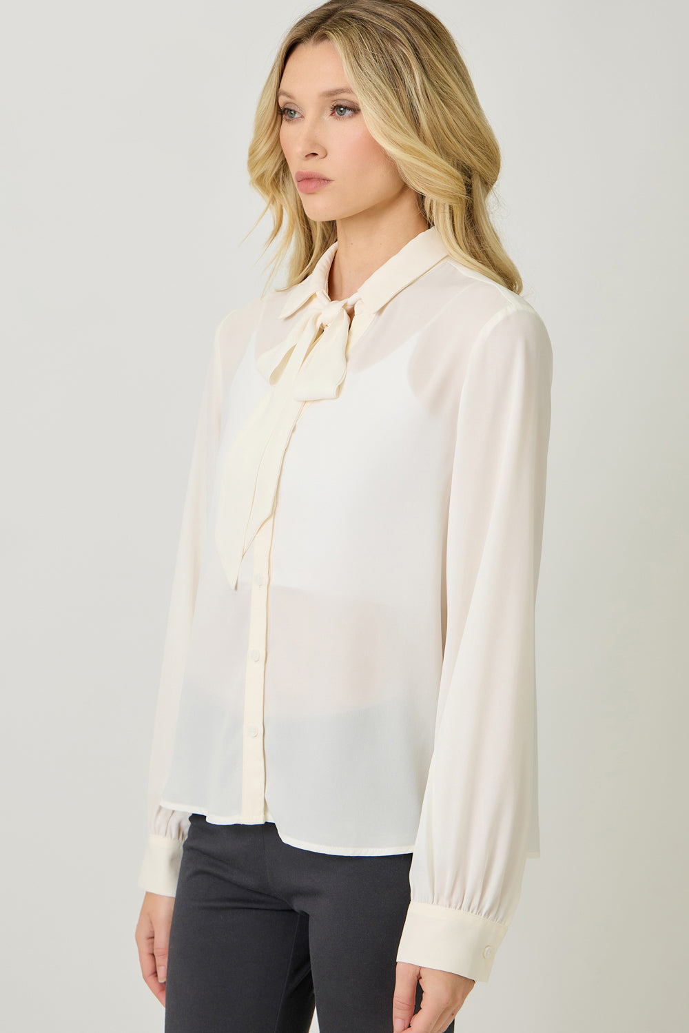 Silk & Cinch Tie Neck Blouse