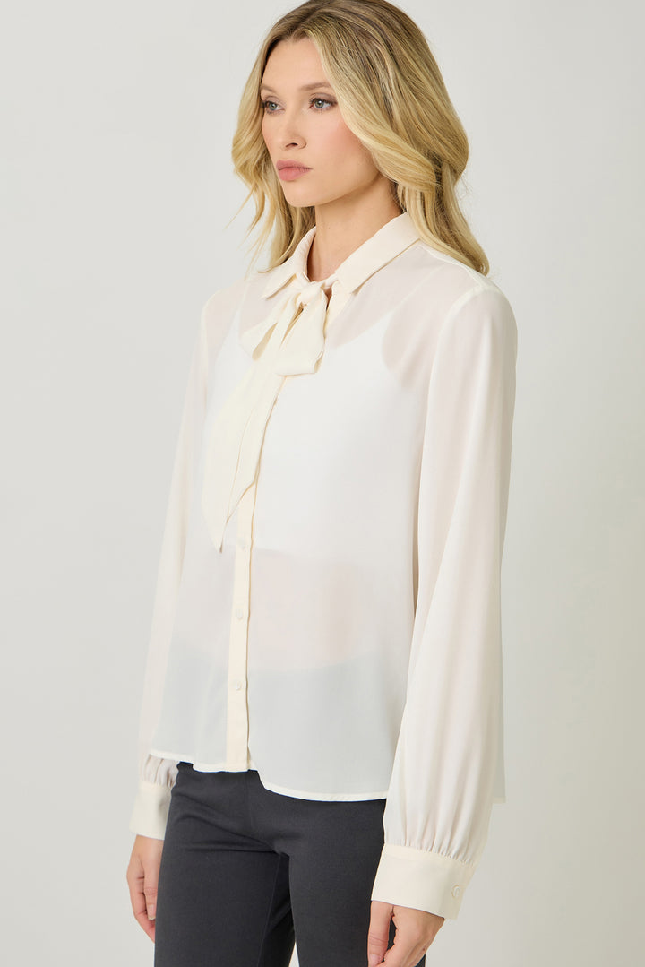 Silk & Cinch Tie Neck Blouse