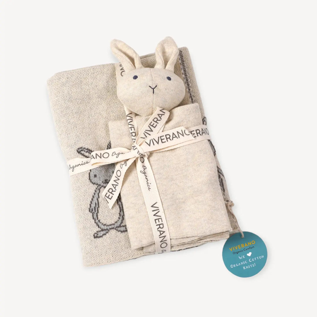 Baby Blanket &amp; Lovey Gift Set