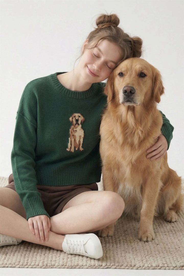 The Golden Boy Sweater