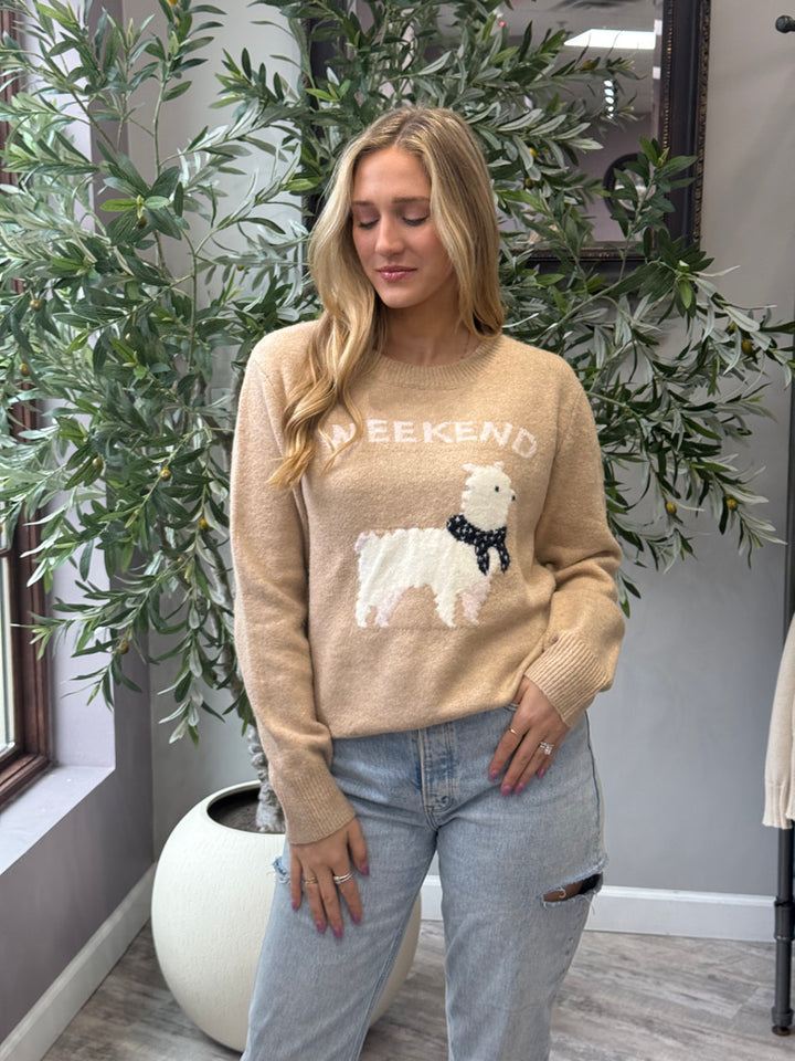 Alpaca Kind of Weekend Sweater