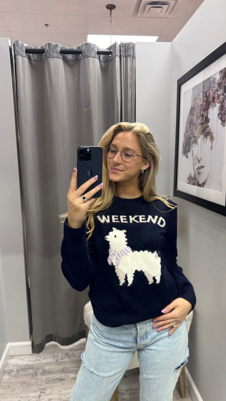 Alpaca Kind of Weekend Sweater