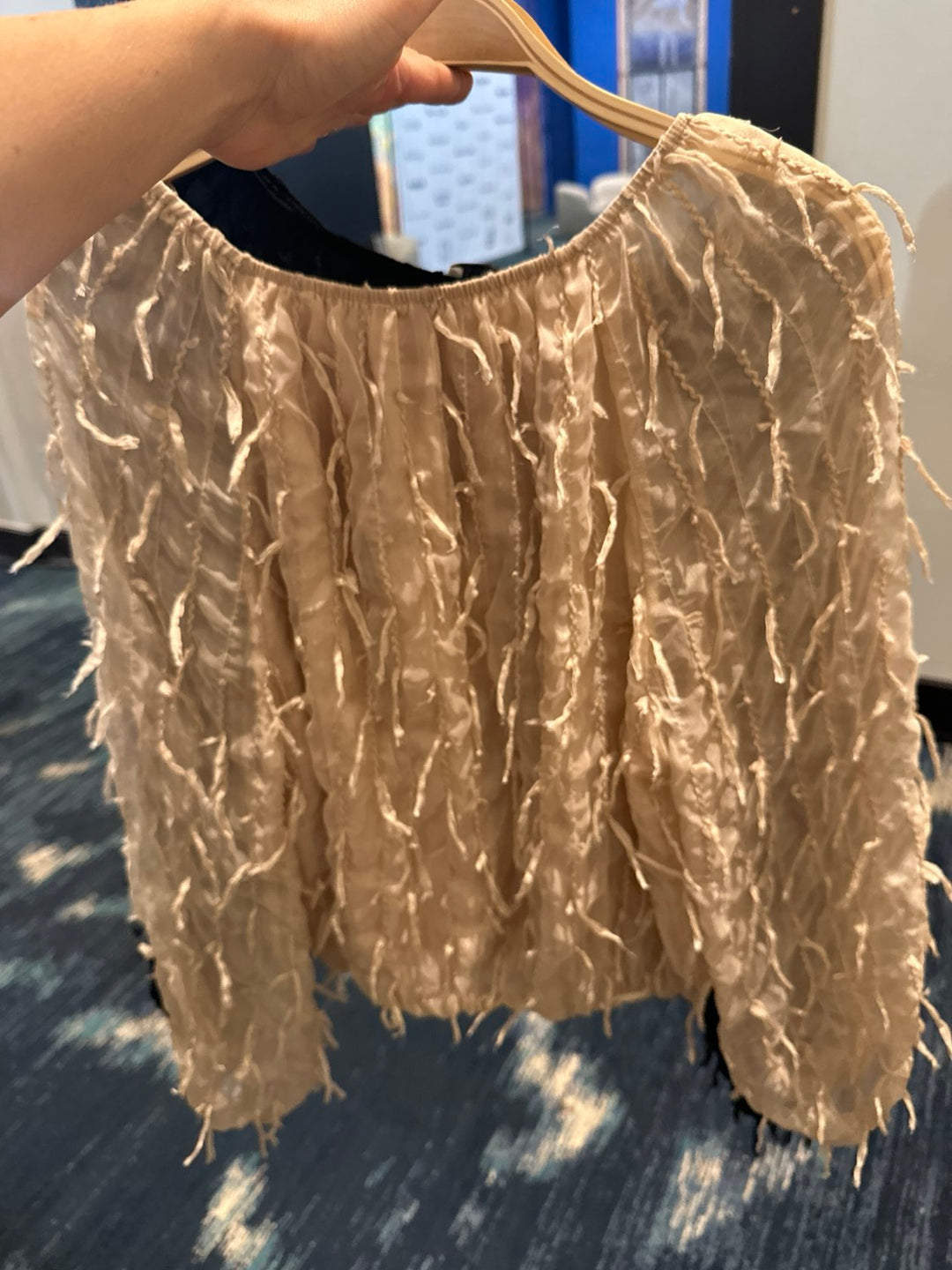 Plume Frayed Chiffon Blouse
