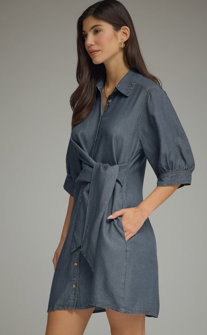 Belted Beauty Denim Dress