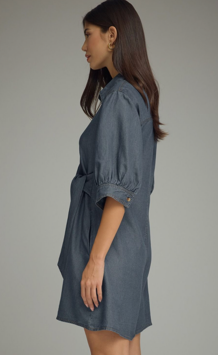 Belted Beauty Denim Dress