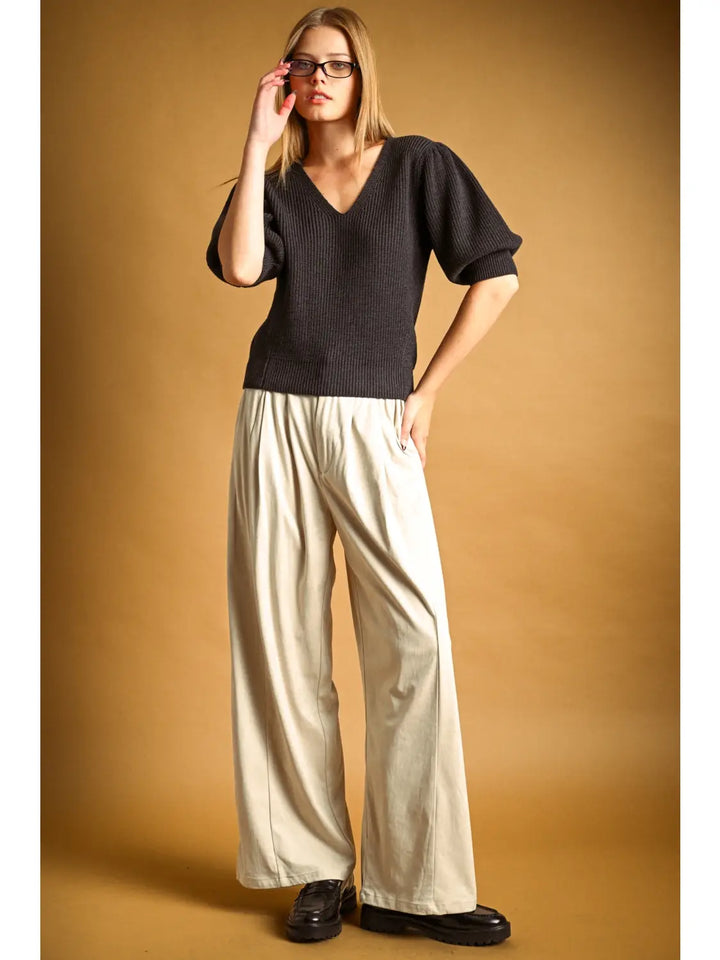 Sonoma Suede Pleated Pants in ash beige, full-length view styled with a black knit top