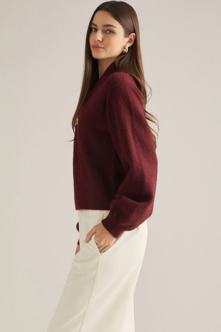 Vivienne Gold Clasp Collared Sweater in burgundy, side view