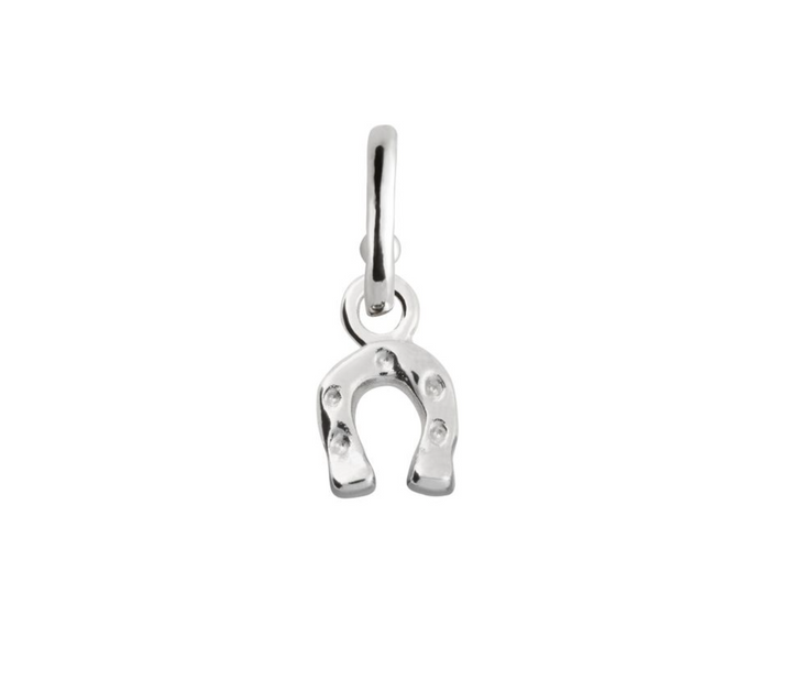 Horseshoe Charm